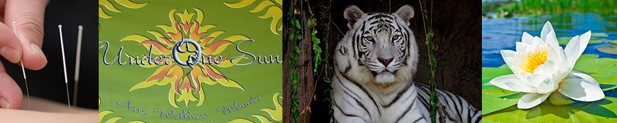 White Tiger Acupuncture of Tucson