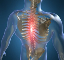 Family Life Chiropractic, Tucson, AZ image