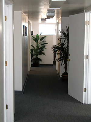 Interior view of chiropractic office
